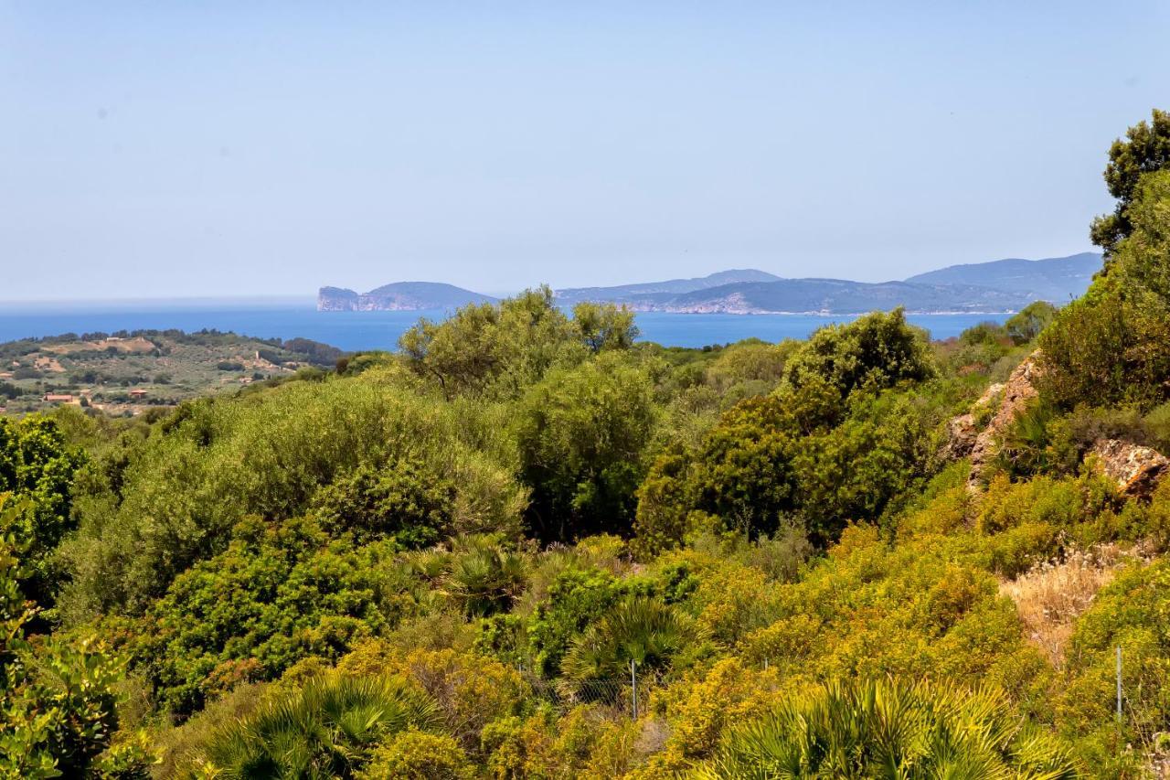 Sardinia Re - Villa Martin Panoramic View アルゲーロ エクステリア 写真